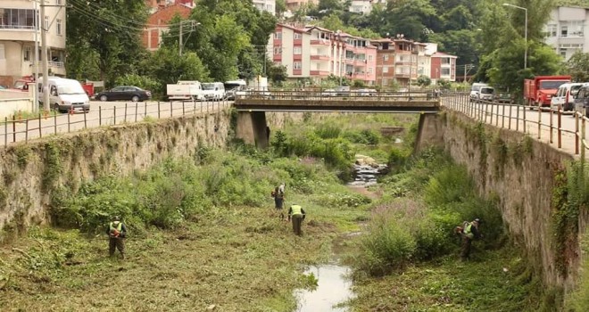 Ordu'nun Dereleri Temizleniyor