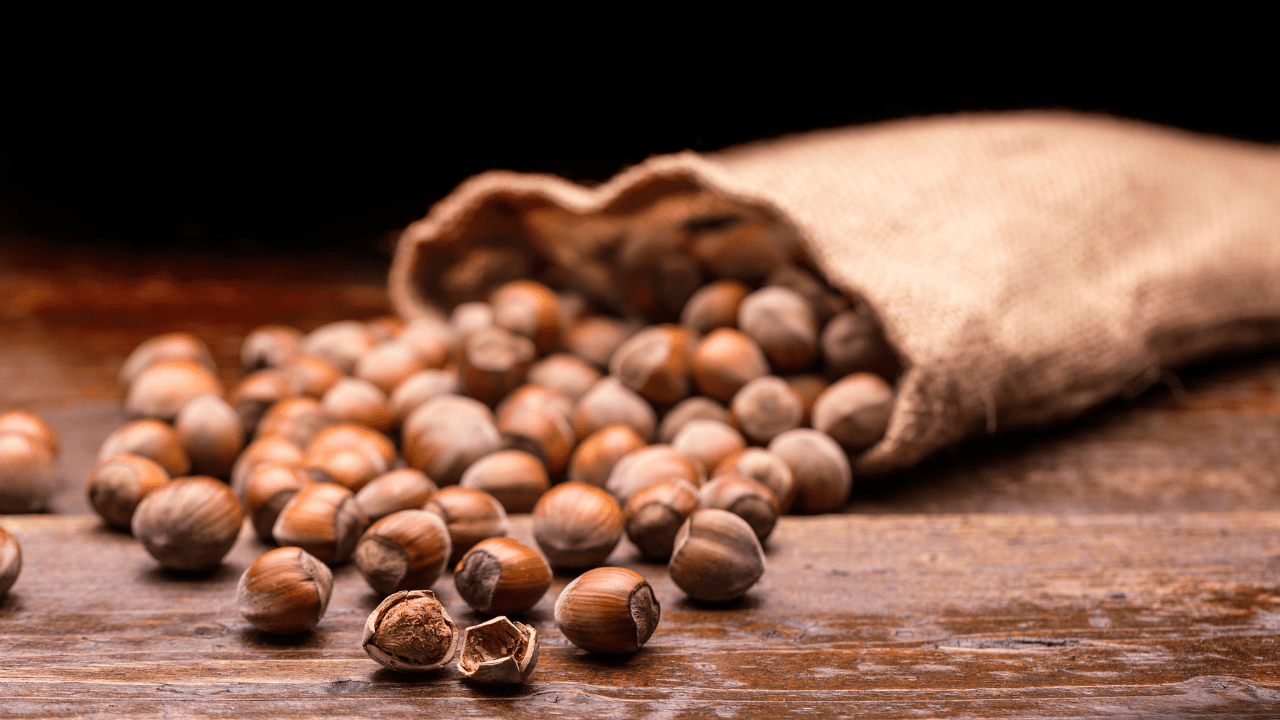 Türkiye'nin Fındık İhracatında Artış: İlk 6 Ayda 1,5 Milyar Dolar Gelir