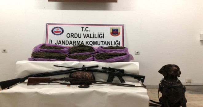 Ordu'da Uyuşturucuya Geçit Yok
