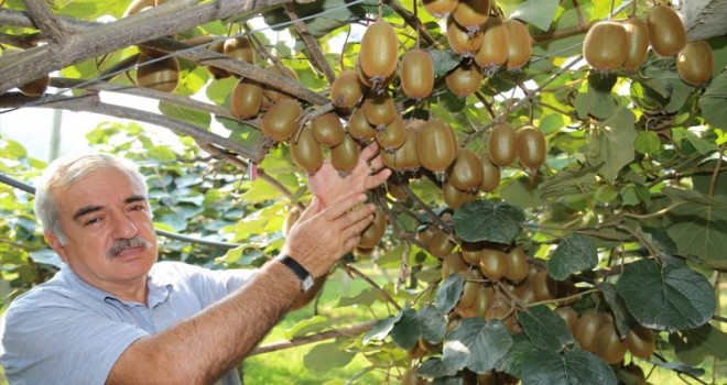 21 milyonluk hobi - Ordu Haberleri