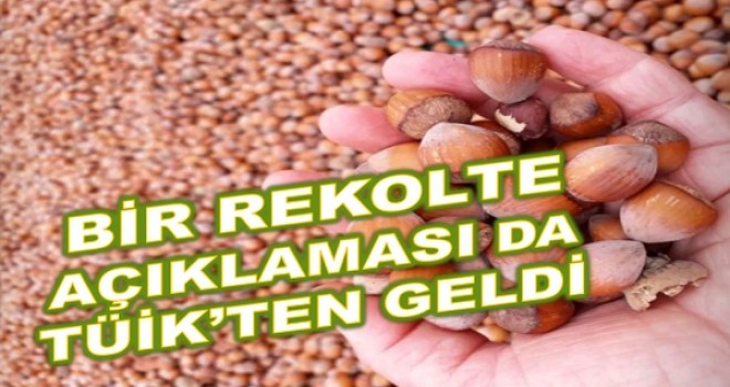 TAHMİNİ REKOLTEYİ 200 BİN ARTIŞLA 715 BİN TON AÇIKLADI