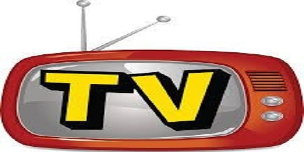 Altınordu Tv Uyduda Yayına Başlıyor