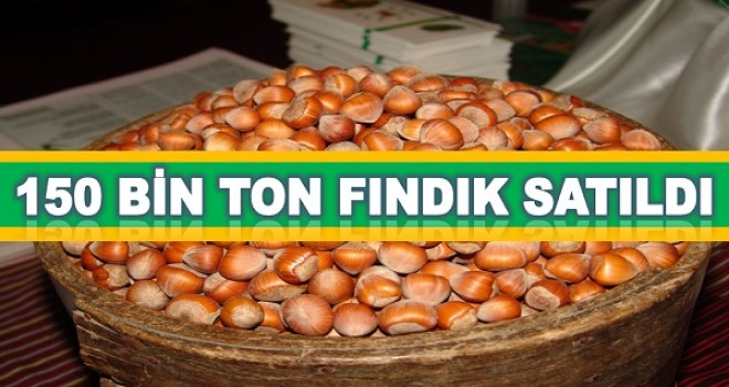 150 BİN FINDIĞIN 50 BİNİ ORDU'DA SATILDI