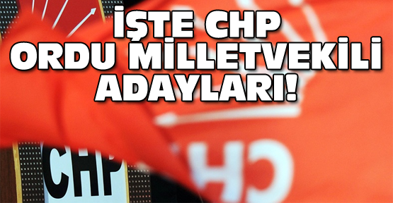 CHP nin ordu vekil adayları