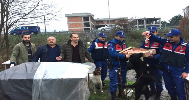 Ordu'da Sokak Hayvanlarına "Sıcak" Şefkat