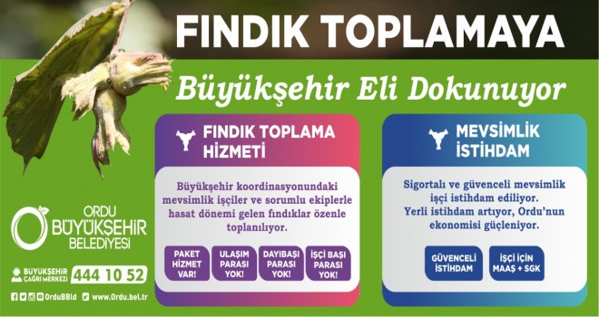 FINDIKTA İŞÇİLER BÜYÜKŞEHİRDEN