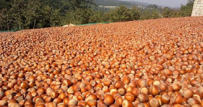 Bekledik Yine Mi Bekleyelim?