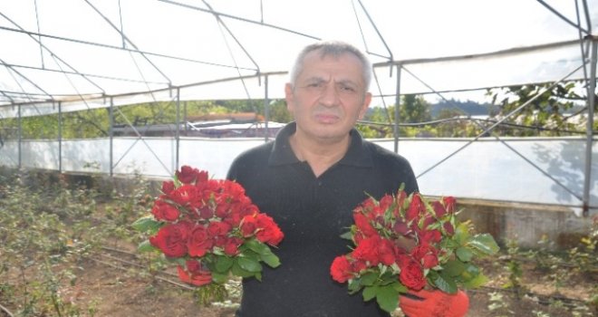 Fatsa'daki Kesme Çiçekçilerin Sorunları