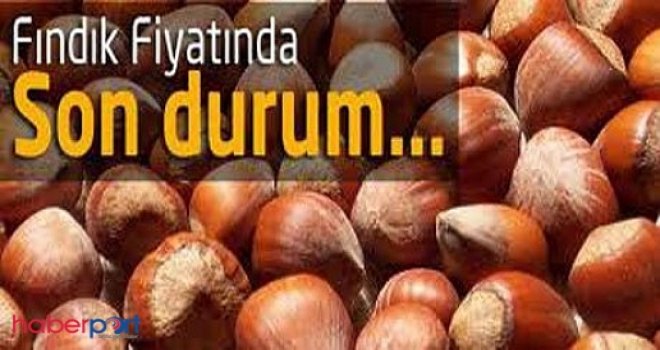 Fındık Fiyatları Güncel Samsun, Ordu, Giresun Fındık Borsasında Güncel Fiyatlar - Düzce Fındık Fiyatları 