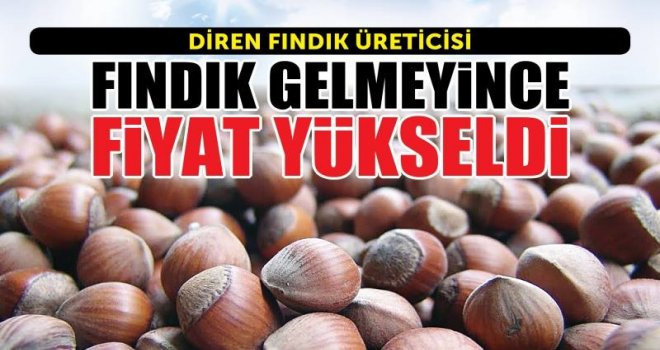 FINDIK GELMEYİNCE FİYAT YÜKSELDİ