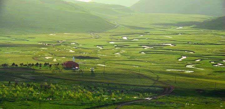 Yayla liderliğinde Ordu birinci