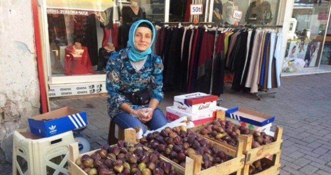 İncir Alternatif Gelir Kaynağı Oldu