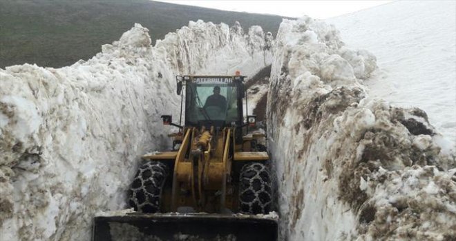 Ordu'da Mayıs Ayında Kar Temizleme Çalışması