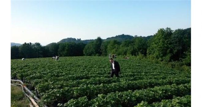 ORDU’DA ORGANİK TARIM ARTIYOR