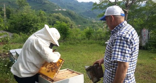 Ordulu Arıcılar Merdiven Altı Üretilen Baldan Şikayetçi