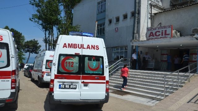 Ordu da Ağaçtan Düşerek Yaralandı