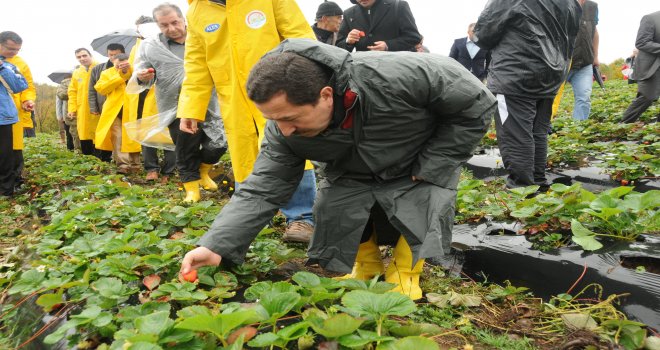 Vali Balkanlıoğlu, “Oluşturduğumuz Yerel Kaynaklarla Üreticilerimizi Destekliyoruz”