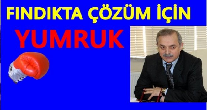 YUMRUĞU VUR FİYAT YÜKSELSİN